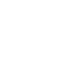 Nonzero Icon