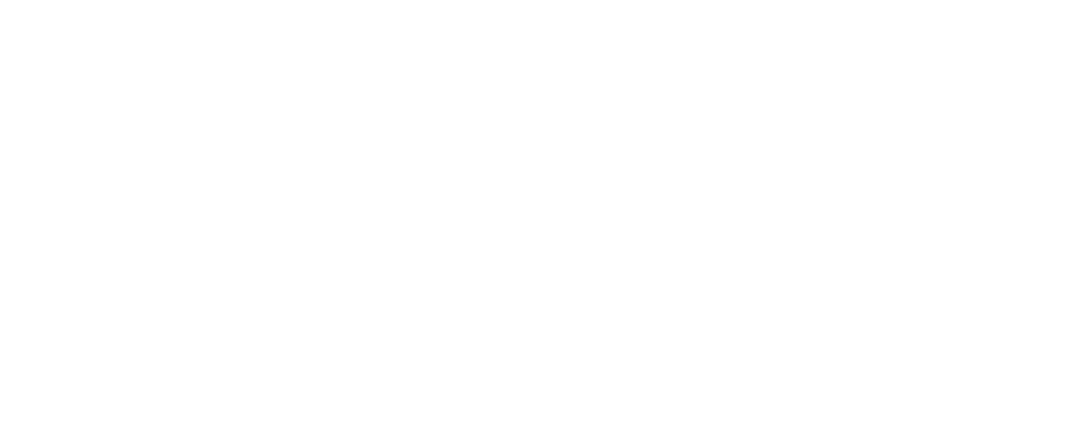 Delfi Labs